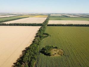 В Волгодонском районе археологический памятник признали наследием федерального значения