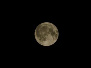 Розовая Луна: нумеролог рассказала о влиянии полнолуния