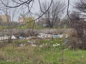 На краю парка «Молодежный» в Волгодонске образовалась стихийная свалка