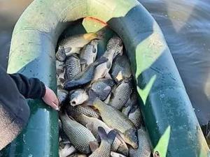 Браконьеры выловили из Цимлянского водохранилища рыбы на 120 тысяч рублей